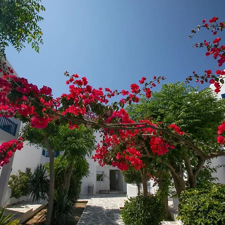 Acrogiali Beachfront Mykonos Hotel