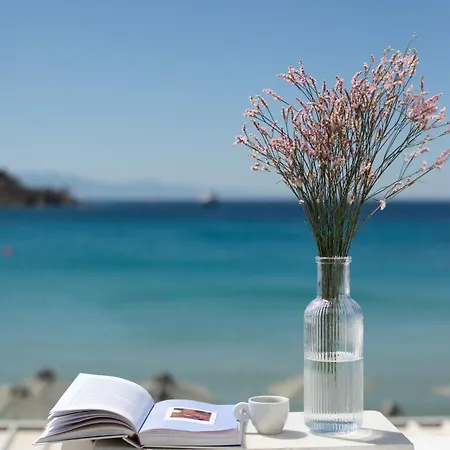 Acrogiali Beachfront Mykonos فندق بلاتيس يالوس