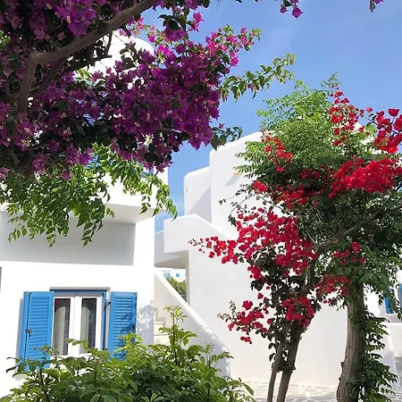 فندق Acrogiali Beachfront Mykonos 4*