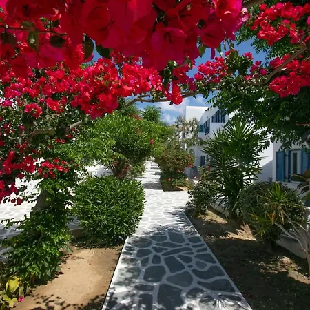 Hotel Acrogiali Beachfront Mykonos 4*