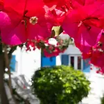 Hotel Acrogiali Beachfront Mykonos