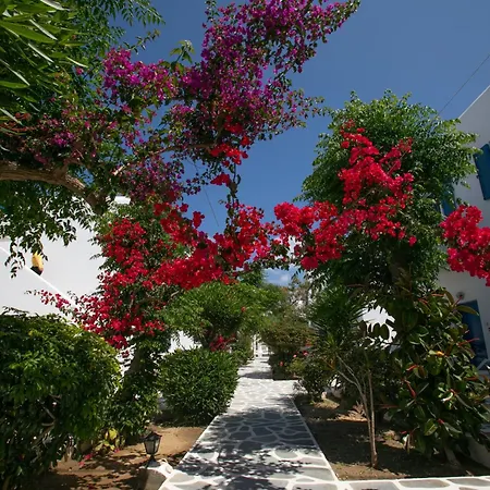 Acrogiali Beachfront Mykonos 4* 普拉迪斯亚罗斯