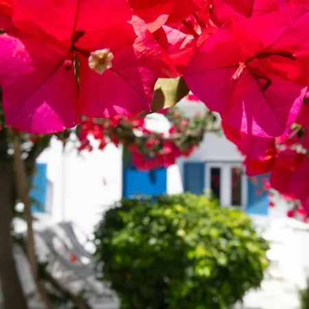 Hotel Acrogiali Beachfront Mykonos