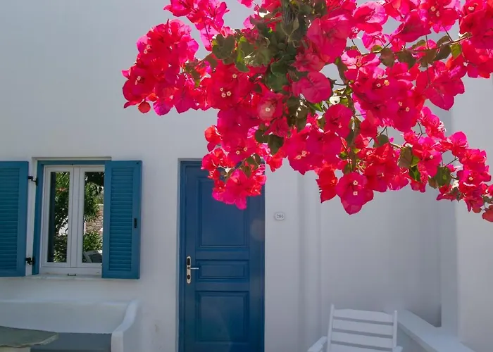 Acrogiali Beachfront Mykonos Hotel 4*