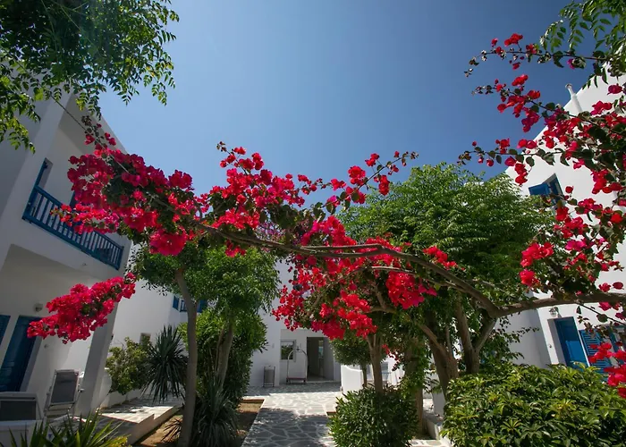 Acrogiali Beachfront Mykonos 호텔