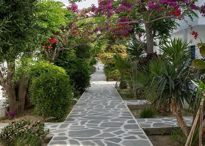 호텔 Acrogiali Beachfront Mykonos Platys Gialos (Mykonos)