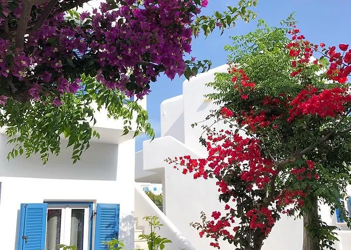 호텔 Acrogiali Beachfront Mykonos 4*