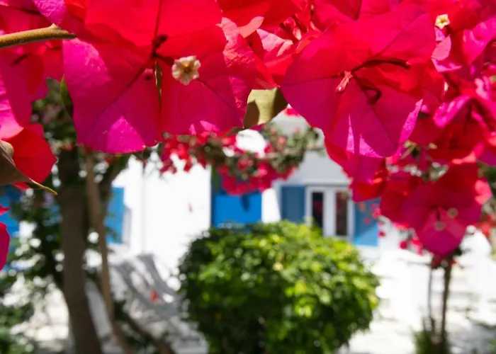 호텔 Acrogiali Beachfront Mykonos